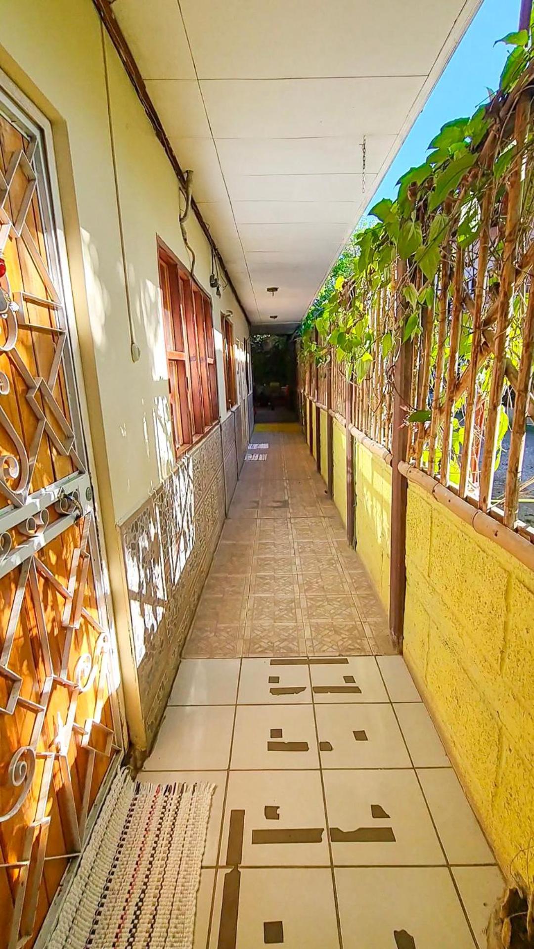 Cabinas Coco Alegre Ngoại thất bức ảnh
