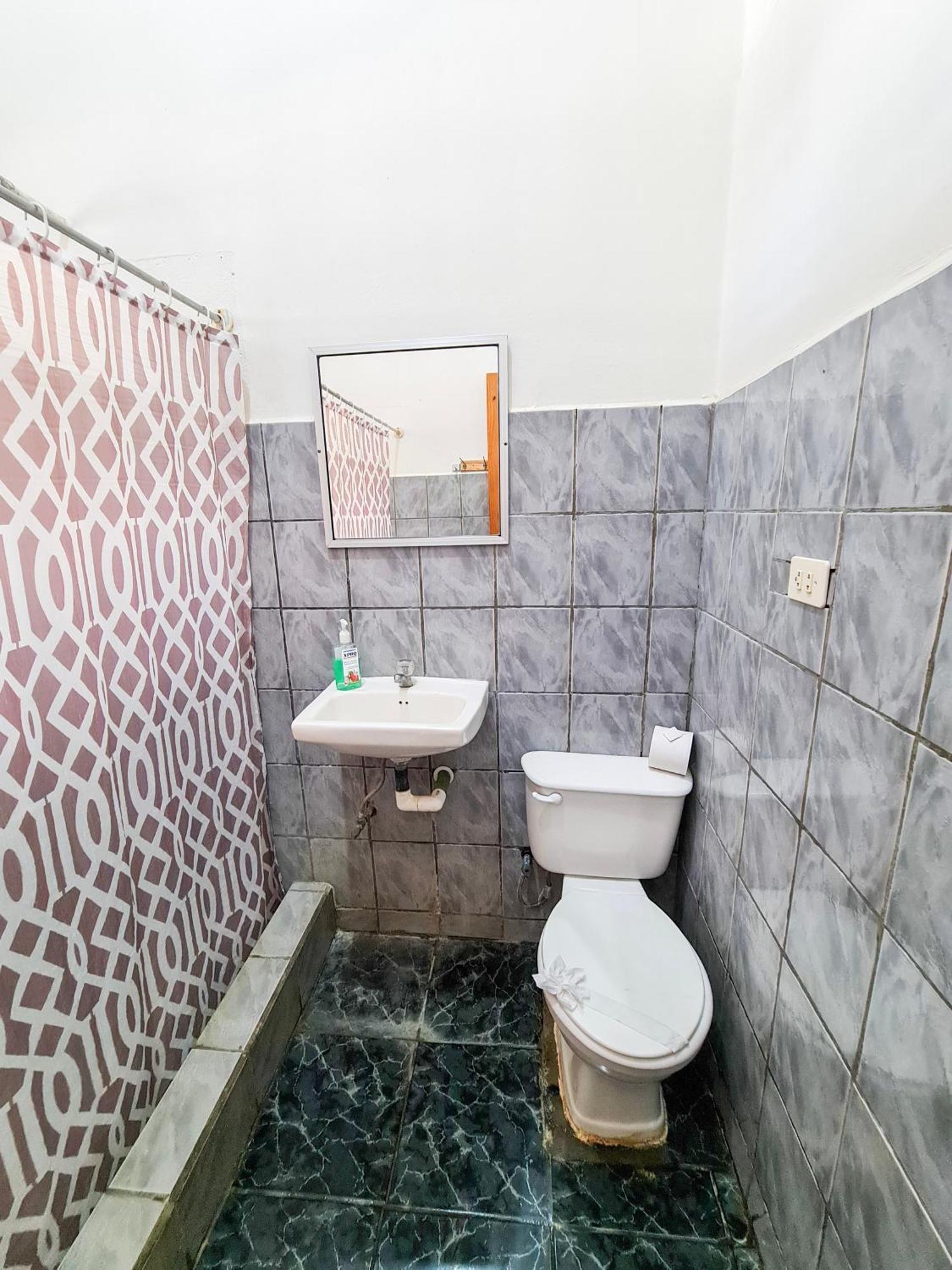 Cabinas Coco Alegre Ngoại thất bức ảnh